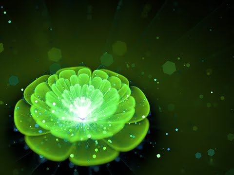 Sleep Meditation Music for Heart Chakra || anahata || Healing Music