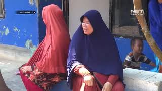 Download lagu PENEMUAN ELANG BRONTOK DI CIANJUR mp3