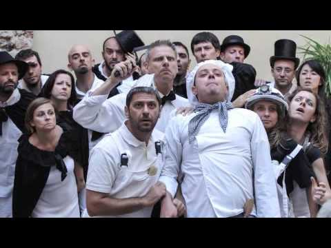 Animae voces   gatti e pavoni