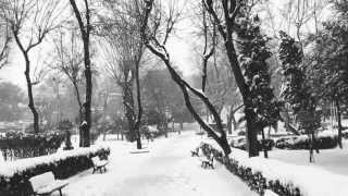 Evgeny Grinko - Field