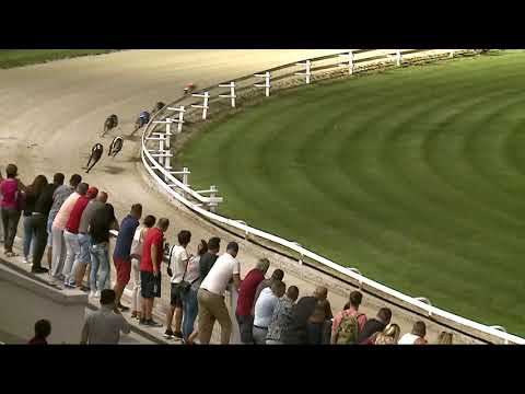 2021.08.13. 05. futam - Augusztusi Díj Open