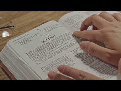 NRSV Bible Offline