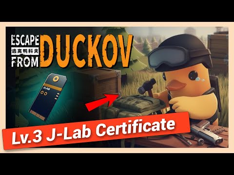 How to Get Lv 3 J-Lab Certificate in Escape From Duckov | Quick Location Guide