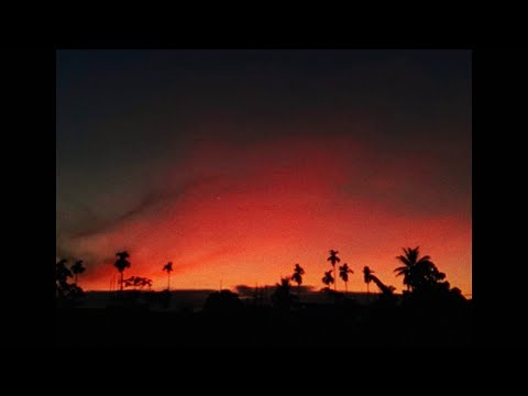 Archy - Top Tier (Official Visualizer)