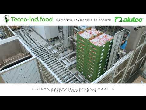 Carrot Processing and Automated End-of-Line System