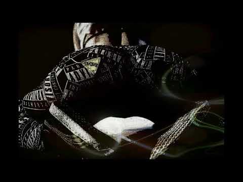 Rekin - Po co tu wpadłem ?!