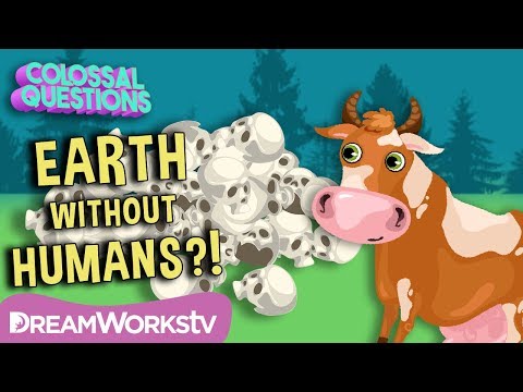 What Would Happen if Humans Disappeared? | COLOSSAL QUESTIONS