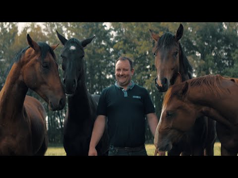 Hengststation und Ausbildungsstall Holtwiesche – Ihr erfahrener Partner in Sachen Pferd