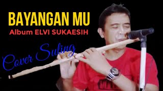 Download lagu BAYANGAN MU elvi Sukaesih ll Instrument COVER SULING. mp3