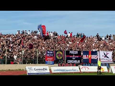 Tifosi della Civitanovese in casa nella stagione 2023-24.