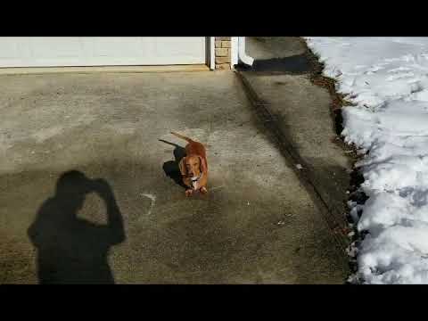 Mashup of Blurry by Puddle of Mudd & Looking Through The Glass by Stone Sour (not perfect, though)