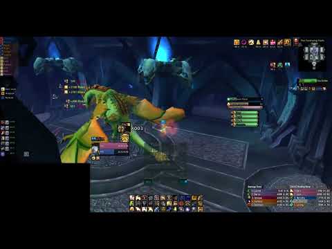 WOTLK Classic | Icecrown Citadel | Valithria Dreamwalker Heroic 25 | Eery Holy Paladin POV fortytwo