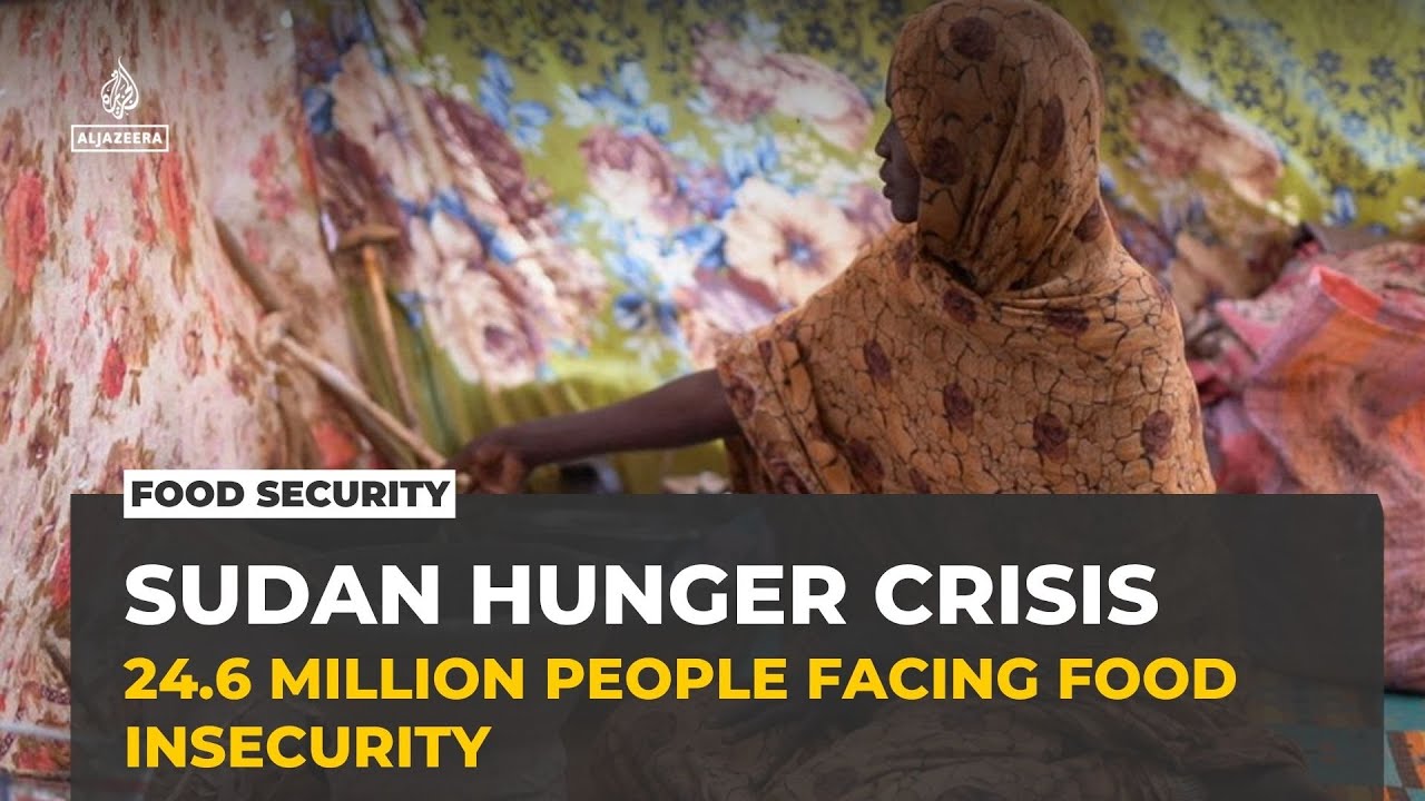 Sudan faces acute food crisis as war disrupts aid and access