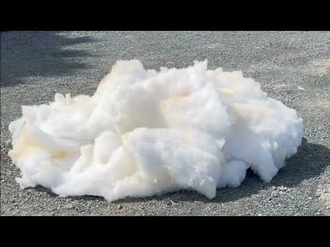 It Came From The Sea