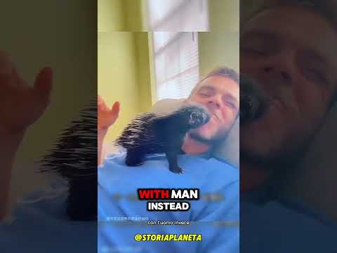 Pensavo fosse un cucciolo…..poi ha scoperto la verità 😍 #shorts #italia #shorts
