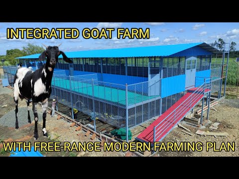 , title : 'High tech goat shed making at low cost       goat farming shed design ideas 6363566188, 9141364460'