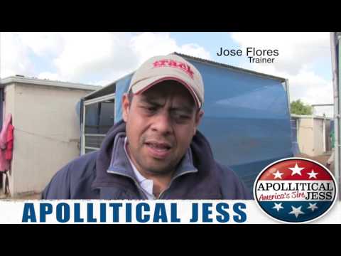 2016 Champion of Champions(G1) Preview: Heza Dasha Fire