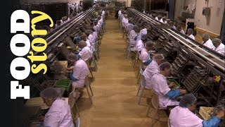 Thumbnail del capítulo