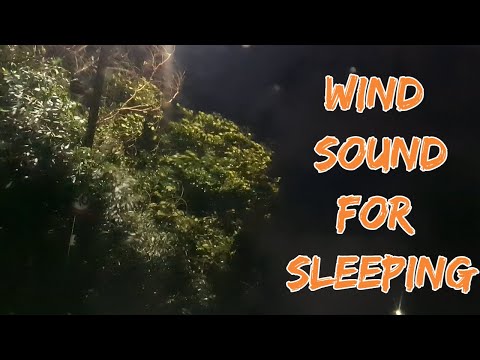 Wind Sounds For Sleeping Wind Sound Effect For Relaxation Study Insomina Tinnitus 10 Minutes