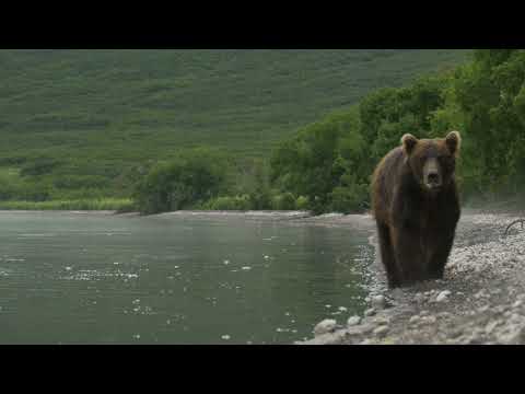 Words of Wisdom The New Adventure New Years 12 29 2021