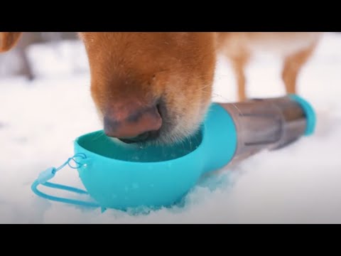 Hemico Portable Dog Cat Water Bottle For Walking/hiking/travel Dog Water Bottle With Food Container
