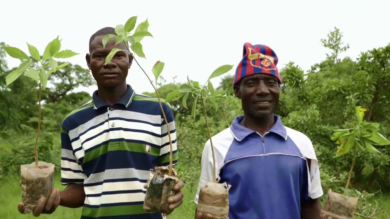 Turning Forests Into Futures 🌳