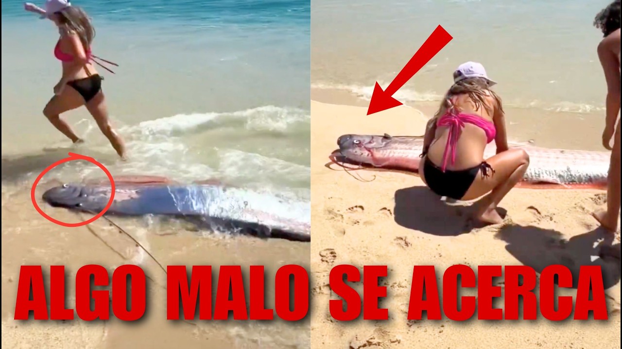 YA EMPEZARON con sus J4L4D4S ¿se ACERCA un MEGA TERREMOTO en MÉXICO? APARECEN DOS PECES DELFIN d...
