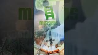 VOTE FOR UDF 💚💚 #keralamedia #iuml #sahibkerala #msf