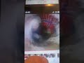Sesame Street Celebrates Around The World 1994 VHS DVD