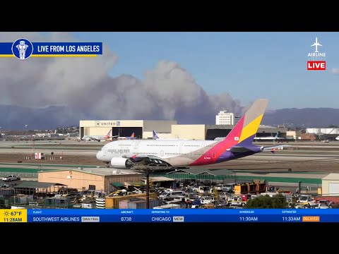 A Windy Day Turns Devastating: The Start of the Palisades Fire Caught Live