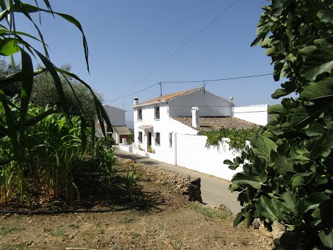 AX910, front street view