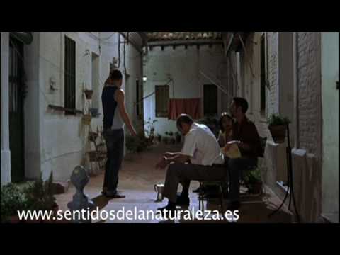 dias de futbol sentidosdelanaturaleza