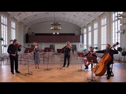 Kymi Sinfoniettan jousikvintetti