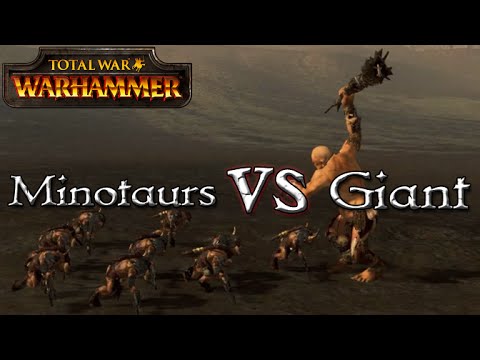 Giant vs Minotaurs - Total War: Warhammer - 1v1 Unit Battles