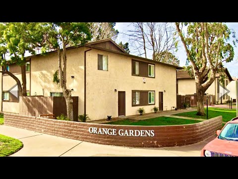 237 - VIP Future, LP (Orange Gardens) - Video 2 of 2
