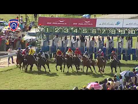 RM37 R5 - Bonnie Prince