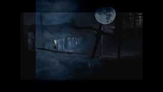 Hank Williams Sr./Mansion On The Hill