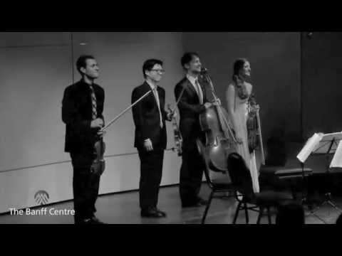 Dover Quartet Debut Album Teaser Trailer