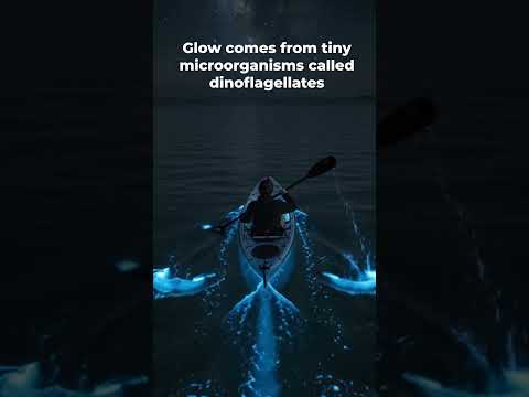This Water Glows When You Touch It!