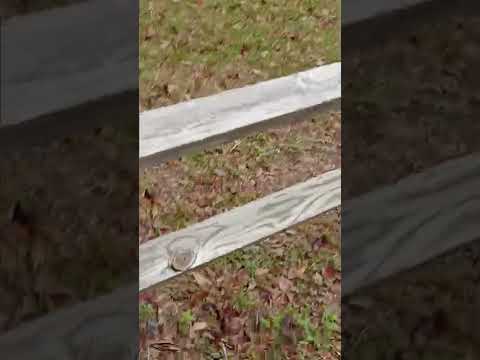 pro m game mag presents Awesome jonjon aka "Mac Bolan"