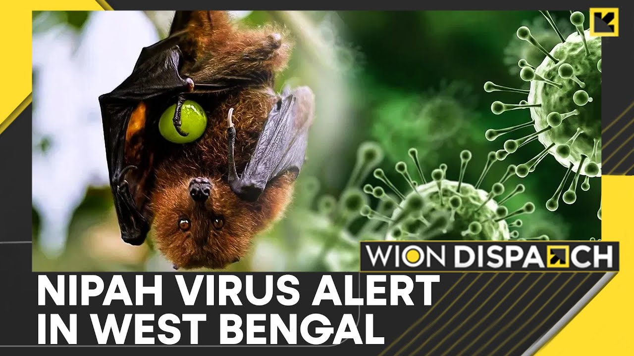 Nipah Cases In West Bengal: People Infected Show Influenza-Like Symptoms | WION Dispatch