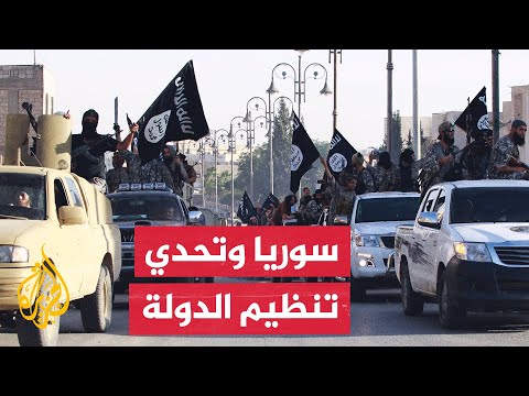 فيديو | هل تدخل الحكومة السورية في حرب مفتوحة مع تنظيم الدولة؟