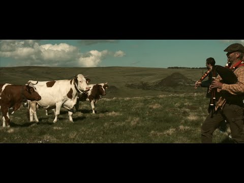 WAZOO L'amour sera toujours dans nos prés - Auvergne - Ruralité  - Folk Rural - Rock Agricole Paysan