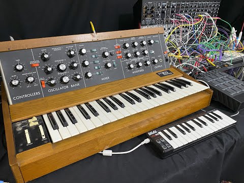 Behringer System 55 vs 1977 Minimoog - Intro