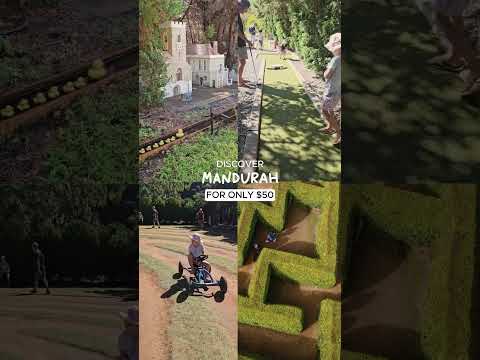 Family Day Trips from just $50! Discover handpicked itineraries this summer 🌊