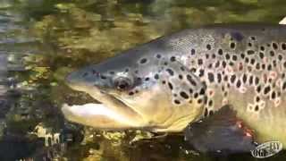 Ribnik Trout Bum