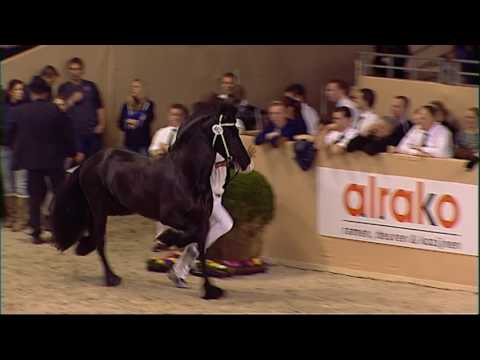 KFPS Hengstenkeuring 2016 rubriek 06