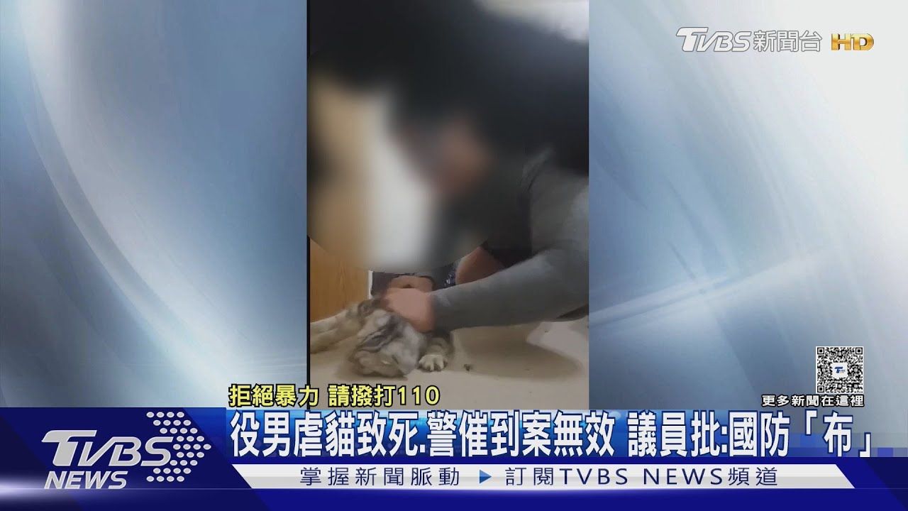 役男虐貓致死!警催無效、辦完退伍才到案 議員怒批:國防「布」