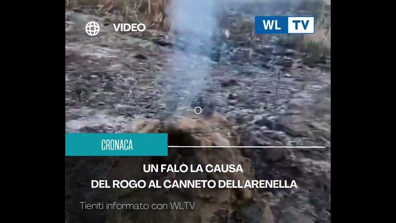 Un falò la causa del rogo al canneto dell'Arenella
