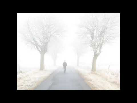 Leo Stannard - In My Blood (KANT Remix)